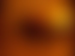 1332086588 night session  2  amsterdam 29.08.2011 003