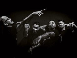 Image for The Dissland