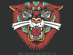 Image for The Pilgrims