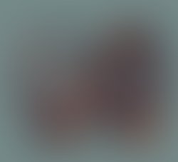 1457503869 wonderlic wunderpus photogenicusjpeg