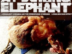 Image for A Fucking Elephant
