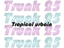 Trunk 25