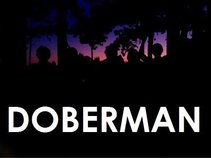 Doberman