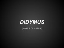 Didymus