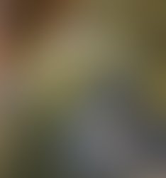 1339354338 revernphoto