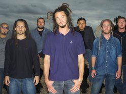 SOJA