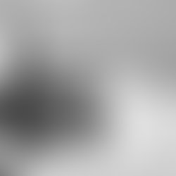 1446953251 artist 2513564 1446953235