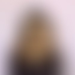 A13bc1e33fdd7824d1b8a604c2954d17a78847c7