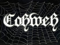 Cobweb