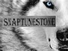 snaptunestone