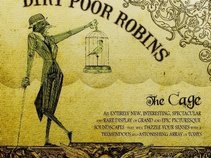 Dirt Poor Robins
