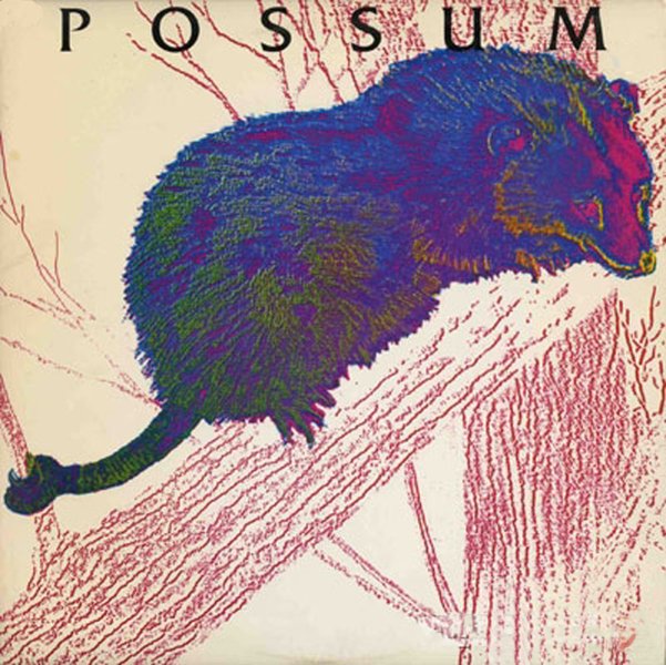ReverbNation profile picture for @possum