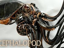 Cephalopod