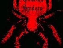 WEAVING SPIDERS