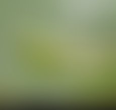 1335781368 images  72 