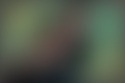 1388704350 verdigree web