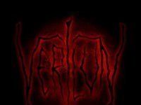 Verilun