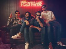 Polyphase