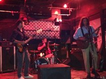 The Honey Shakers