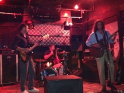 Image for The Honey Shakers