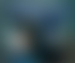 1349986034 vasonaphoto 2