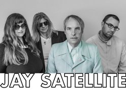 Image for Jay Satellite