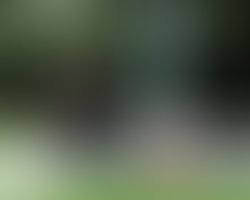 1373415148 4098178613834 1115421543 n