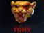 Nyg Tony M (Artist)