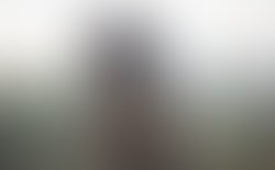 Artist 2548144 1535583512