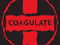 Coagulate