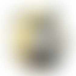 1413224030 patch disc