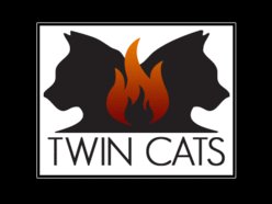 Image for the Twin Cats