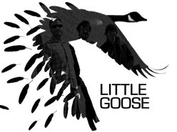 Image for Little Goose