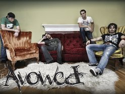 Avowed