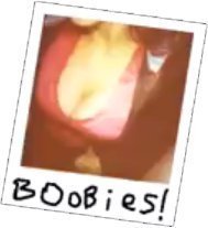 ReverbNation profile picture for @boobies