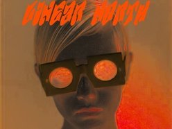 Image for Linear North