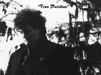 Steve Moore & The New South