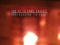 Pas De La Dame Sauvage
