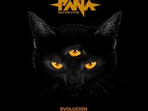 Paña Radiostation