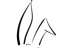 Behind The Rabbit