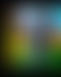 5ffd0894 41ef 4333 a5b4 d1bf97a7b36d