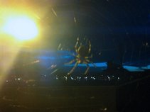 The Hungry & Gullible