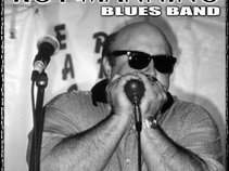 the roy mannino band