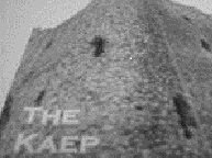 The Kaep