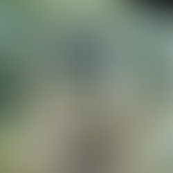 20664461 1234977253296306 4264928727667346075 n