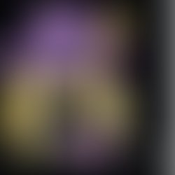 1462905362 artist 258223 1462905352