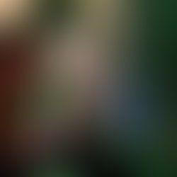 7712b34f 8730 40c2 b23c e1a99c219bd3 3184 0000054b22b34880