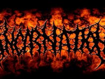 Incarnation Indonesian