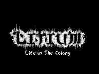 Litium