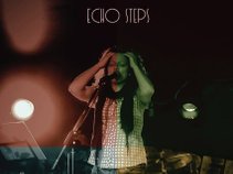 Echo Steps